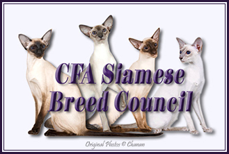 CFA Siamese Breed Council